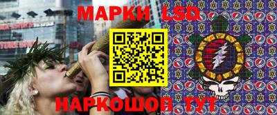 сатива Ставрополь