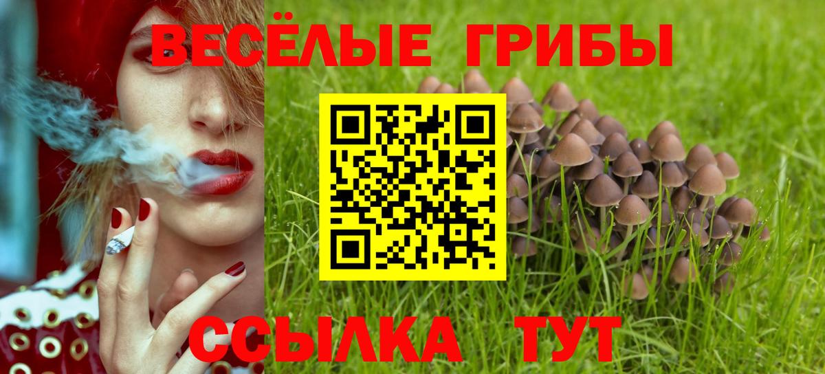Псилоцибиновые грибы Psilocybine cubensis  Галлюциногенные грибы Psilocybe  Вход с VPN  Новоуральск 